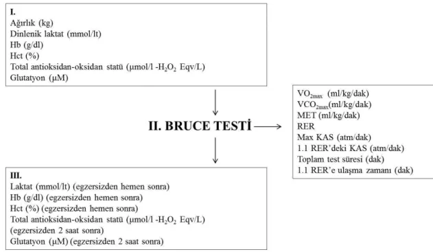 Şekil 3.2. Bruce testi öncesi ve sonrası uygulama 