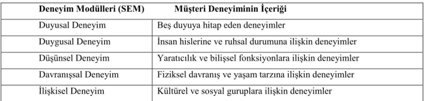 Tablo 1.2 Stratejik Deneyimsel Modüller 