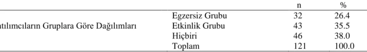 Tablo 3.1 Kadın Mahkumların Katılım Gruplarına Göre Dağılımları 