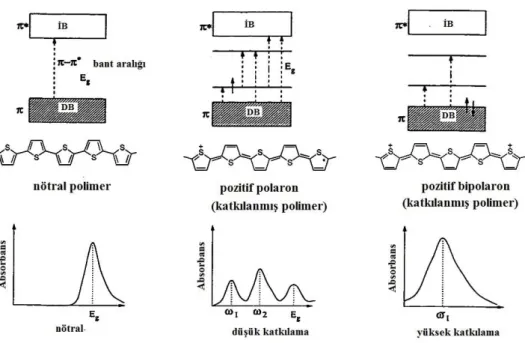 Şekil  2.6.  Katkılama  ile  polimerin  bant  yapısında  ve  soğurma  özelliklerinde  meydana  gelen değişimler (Çamurlu 2006) 
