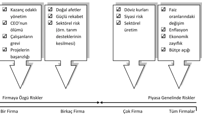 Şekil 1.1 Dışsal ve İçsel Risk Faktörleri  