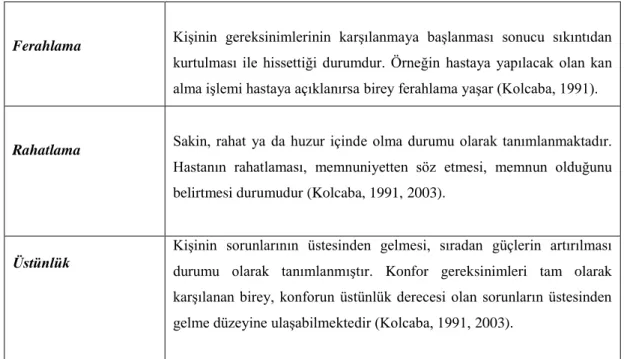 Tablo 2.5. Birinci Evre Konfor Düzeyleri 