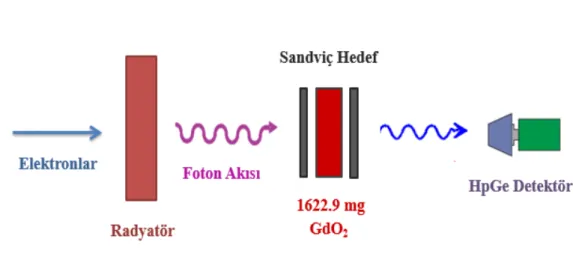 Şekil 3.6. NRF yönteminin basitleştirilmiş şematik gösterimi