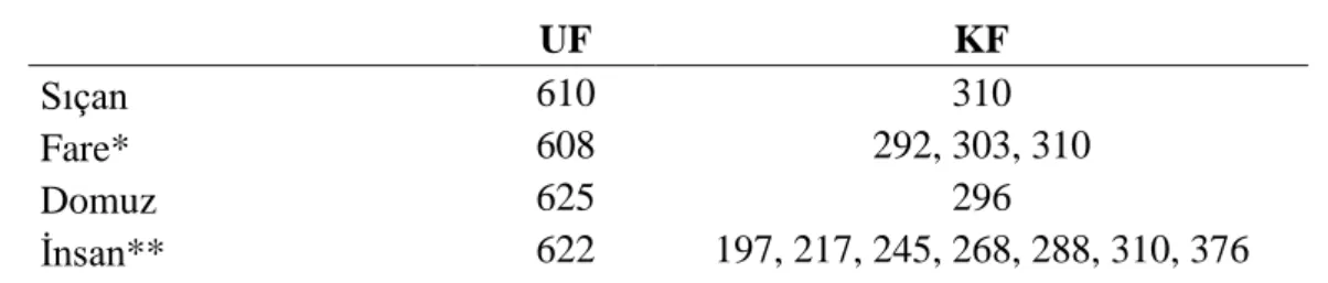 Çizelge  2.5. Memeli PRLR UF ve KF’lerin amino asit sayıları. 