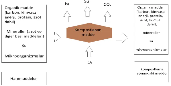 ġekil 2.5. KompostlaĢtırma mekanizması 