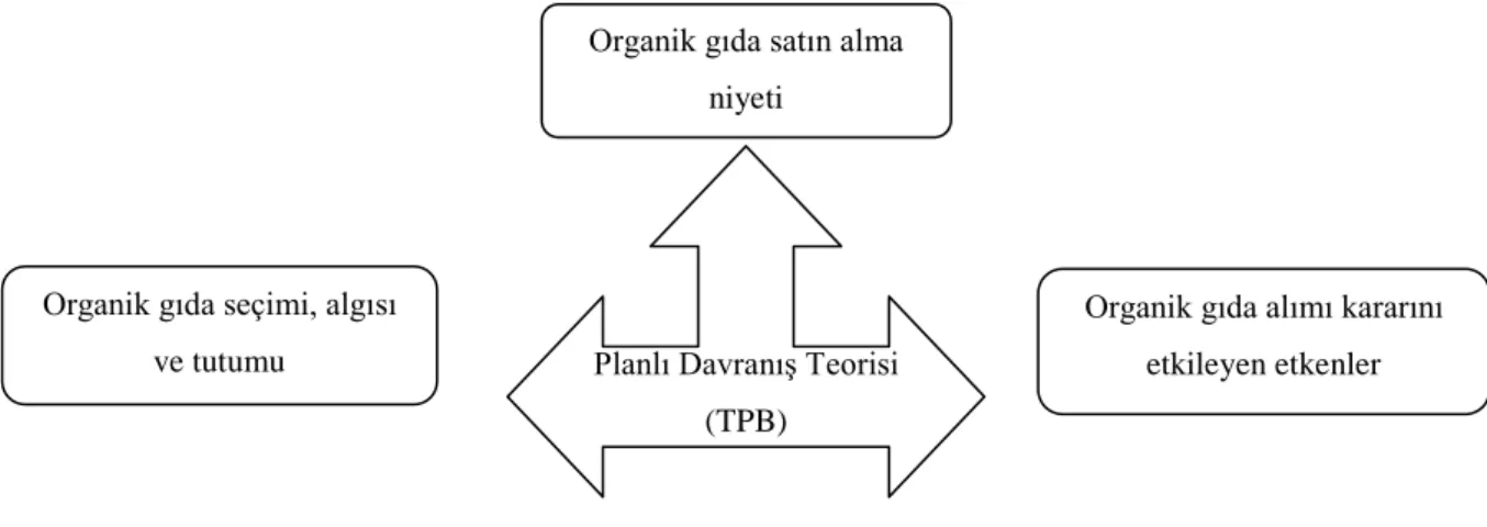Şekil 2.1 Kaynak Taraması: Ana Başlıklar 