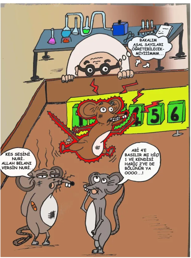 Şekil 14: “Fare deneyi” isimli karikatür 