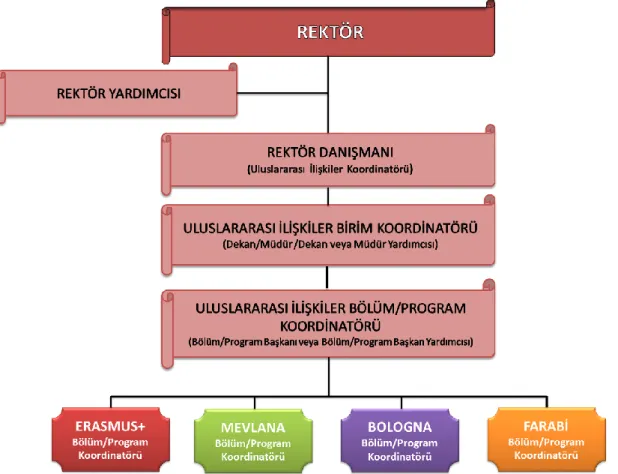 ġekil 2.4 Akdeniz Üniversitesi’nde Uluslararası ÇalıĢmaların Akademik Birimler Düzeyinde Yapılanması 