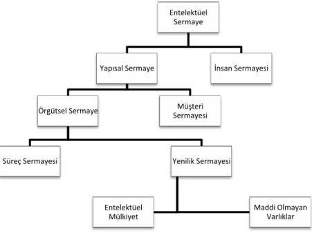 Şekil 1.3 Entelektüel Sermaye Unsurları Şeması (Edvinsson)  Kaynak: Edvinsson, 1997: 367