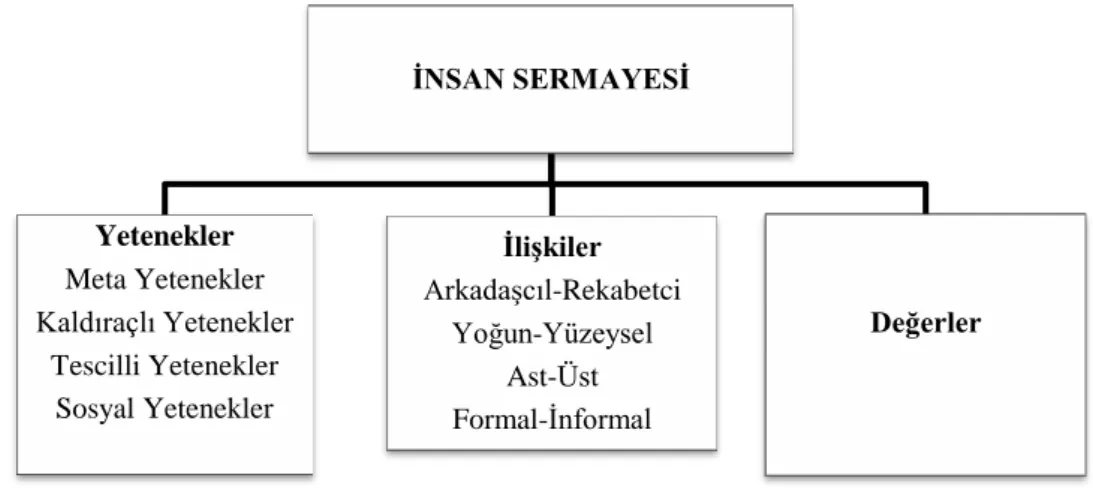 Şekil 1.5 İnsan Sermayesi Yapısalları 