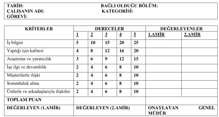 Tablo 3.7 Derecelendirme ve Puanlama Tablosu 