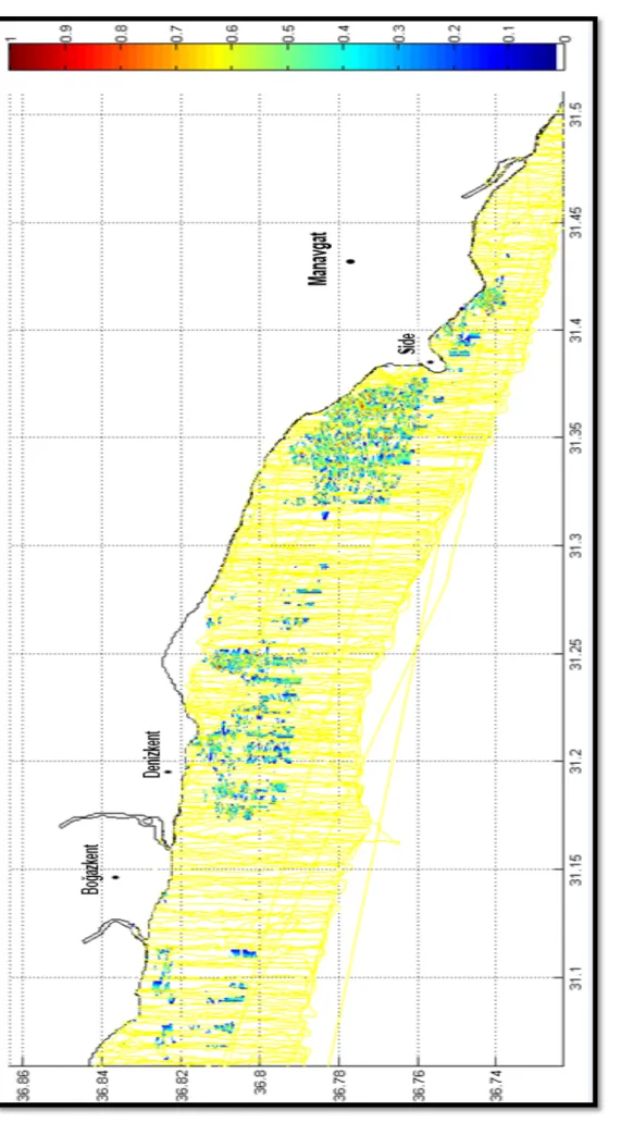 Şekil 4.9. Tüm veriler birleştirilerek P. oceanica’nın EcoSAV programı ile elde edilen deniz çayırlarının yaprak boy (m) dağılımlarının  büyütülmüş hali 