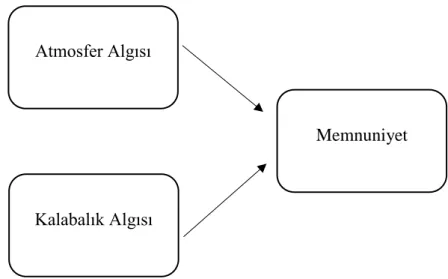 Şekil 0.1 Araştırma Modeli 