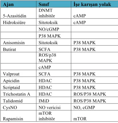 Tablo 2.4: HbF indüksiyonu için kullanılan bazı ajanlar ve etki mekanizmaları 