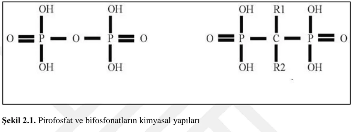 Şekil 2.1. Pirofosfat ve bifosfonatların kimyasal yapıları 