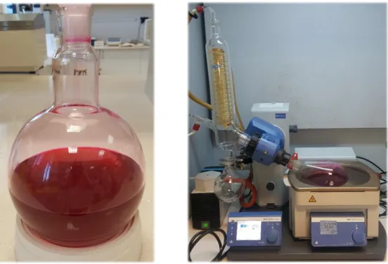Şekil 3.4. Başlangıç ekstraktı (solda), evaporasyon işlemi (sağda)  3.2.3.  Püskürtmeli ve donuk kurutucu ile toz renklendirici üretimi 