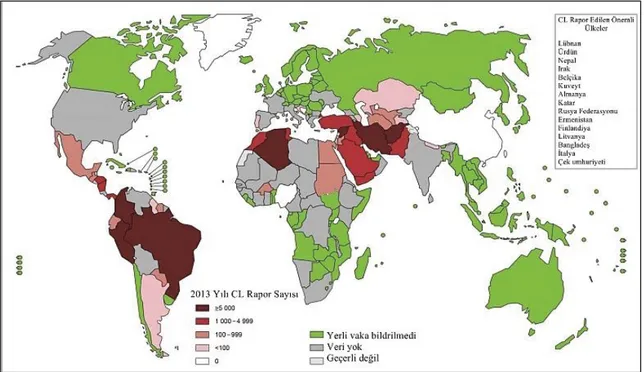 Şekil 2.9. 2013 Yılı dünya genelinde endemik bölgelerde KL durumu (Anonim 4) 