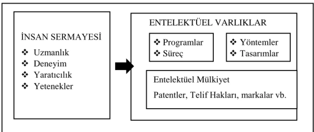 Şekil 1.1 Sullivan Entelektüel Sermaye Modeli  Kaynak: Vandenberg, 2002 