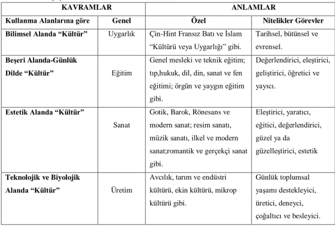 Tablo 1.1 Çeşitli Kültür Kavramları ve Anlamları 