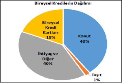 Şekil 1.11 Bireysel Kredilerin Dağılımı
