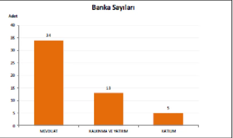 Şekil 1.12 Banka Sayıları