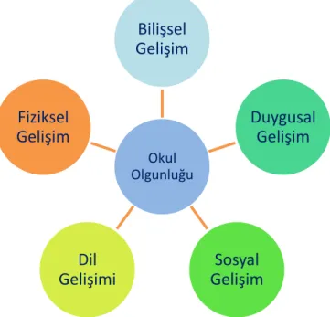 Şekil 2.3: Okul Olgunluğu (Kutluca Canbulat, 2013). 