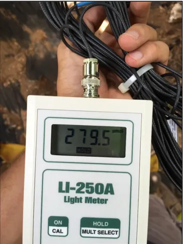 Şekil 3.6. LI-250A marka ışıkölçerden bir görünüm  3.2.1.5. Rüzgardan etkilenen yaprak sayısı  
