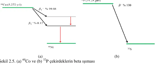 Şekil 2.5. (a)  60 Co ve (b)  32 P çekirdeklerin beta ışıması  