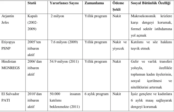 Tablo 2.1 Yaygın Kamusal Çalıştırma Programlarından Örnekler 