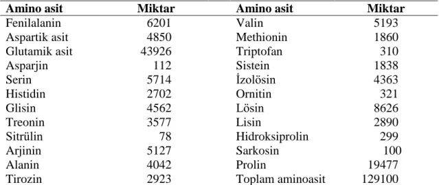 Çizelge  4.2. Fenilalanin içeriği azaltılmış un üretiminde kullanılan unun toplam amino  asit içeriği (mg/kg) 