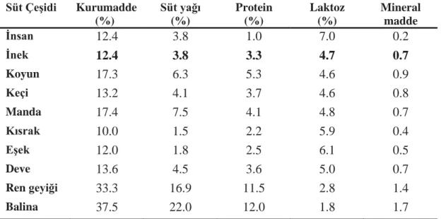 Çizelge 2.1. Çeşitli türlere göre sütlerin ortalama bileşimleri (Metin 2005)  Süt Çeşidi  Kurumadde   (%)  Süt yağı (%)  Protein (%)  Laktoz (%)  Mineral madde  İnsan  12.4  3.8  1.0  7.0  0.2  İnek  12.4  3.8  3.3  4.7  0.7  Koyun  17.3  6.3  5.3  4.6  0.