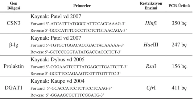 Çizelge 3.3. Kappa-kazein,  β-laktoglobulin, prolaktin ve DGAT1 proteini genlerinin  çoğaltılması için kullanılan primer ve enzimler 