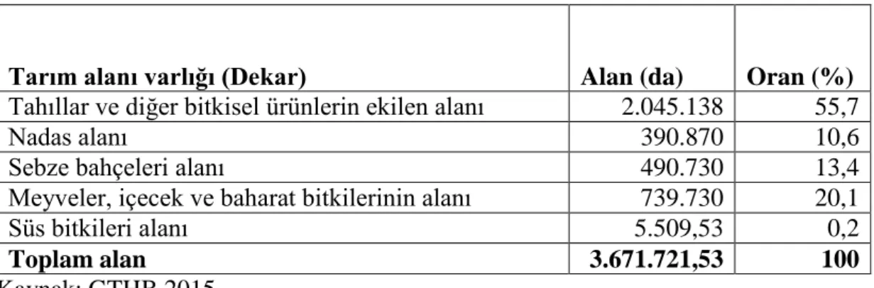 Çizelge 2.3. Antalya’nın tarım alan varlığı 