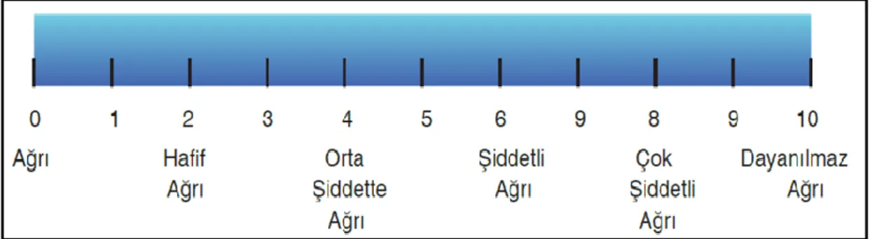 Şekil 2.3. Ağrı şiddet aralıkları (Aslan, 2002). 