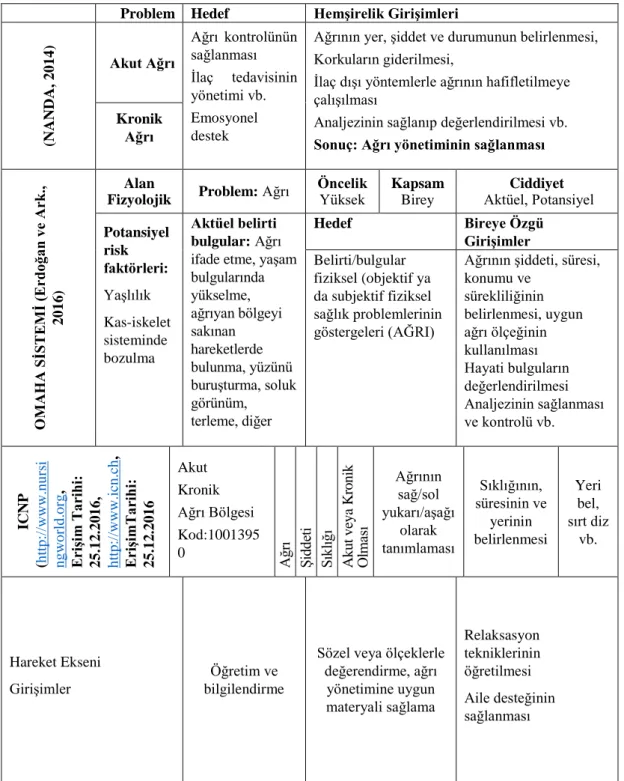 Tablo 2.5. Ağrı bakım planı.