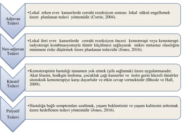 Şekil 2.2. Klinik kemoterapi tedavileri 