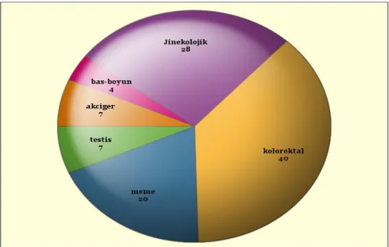 Şekil 4.1.Hastalık tanılarının dağılımı 