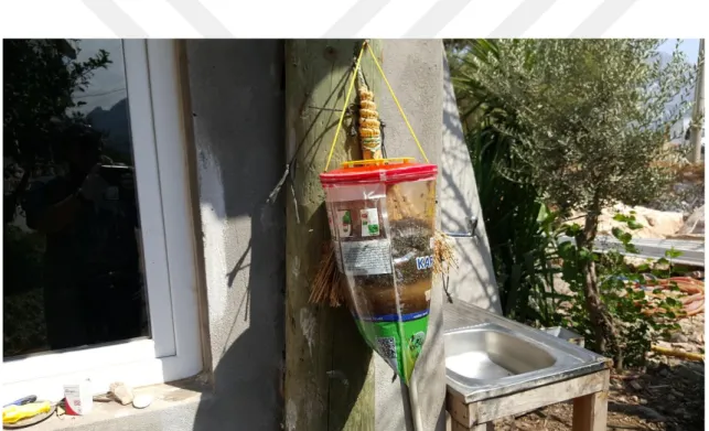 Şekil  2.8.  Örnekleme  alanlarından  Adrasan  Mahallesinde  kullanılan  ev  sinekleri  için  çekici tuzak (2015) 