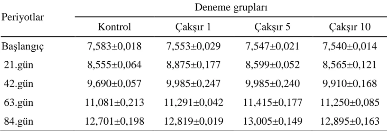 Çizelge  4.1.  Ç akşır  yemiyle  beslenen  japon  balıklarının  dönemlere  ait  canlı  ağırlık  ortalamaları (g) 