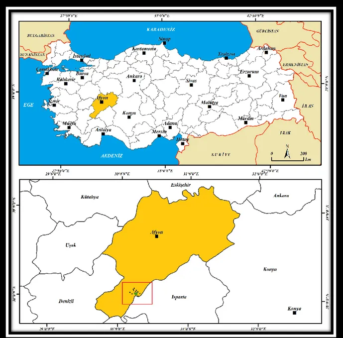 Şekil 1. Araştırma Alanının Lokasyon Haritası 