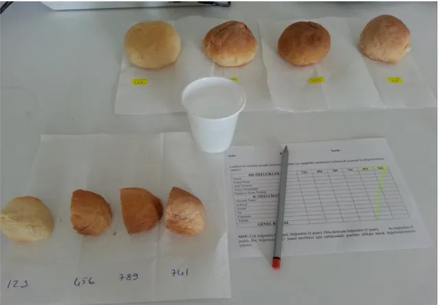 Şekil 3.2. Üretilen ekmekler için hazırlanan duyusal panel  3.6. İstatistiksel analizler 