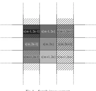 Fig. 1. Sample image segment.