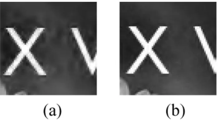 Fig. 5. A detail from “garden” image coded at 0.5 bpp using (a) the 5/3 wavelet and (b) our method.