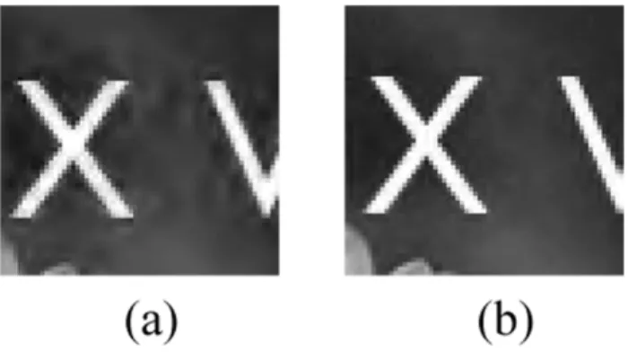 Fig. 5. A detail from “garden” image coded at 0.5 bpp using (a) the 5/3 wavelet and (b) our method.