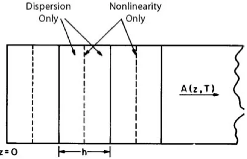 Figure 2.1: Schematic illustration of the symmetrized split-step Fourier method used for numerical simulations [2].
