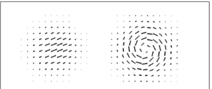 Figure 1.1: Smoke density and velocity key frames. (Smoke Simulation, Treuille et. al)