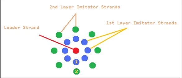 Figure 2.2: Distribution of imitator strands.