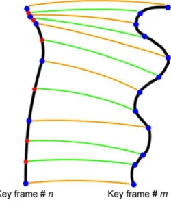 Fig. 8. Strand having a smaller number of mass nodes is sampled to higher dimensions via addition of extra mass nodes