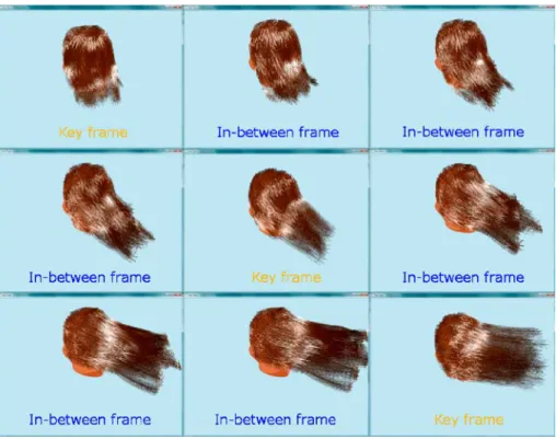 Table 1. Flow diagram of the hairstyle capture process
