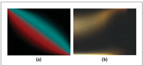 Figure 2.3: The precalculated Marschner terms stored as textures.